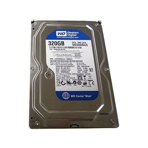  Western Digital (WD) Caviar Blue 320 GB (320gb) SATA II 7200 RPM 8 MB Cache Bulk/OEM Desktop Hard Drive for PC, Mac, CCTV DVR, NAS, RAID- 1 Year Warranty