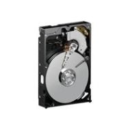 Western Digital WD Blue 80 GB Desktop Hard Drive: 3.5 Inch, 7200 RPM, PATA, 8 MB Cache - WD800AAJB