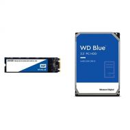 Western Digital 250GB WD Blue 3D NAND Internal PC SSD - SATA III 6 Gb/s, M.2 2280 & Western Digital 1TB WD Blue PC Hard Drive - 7200 RPM Class, SATA 6 Gb/s, 64 MB Cache, 3.5 - WD10