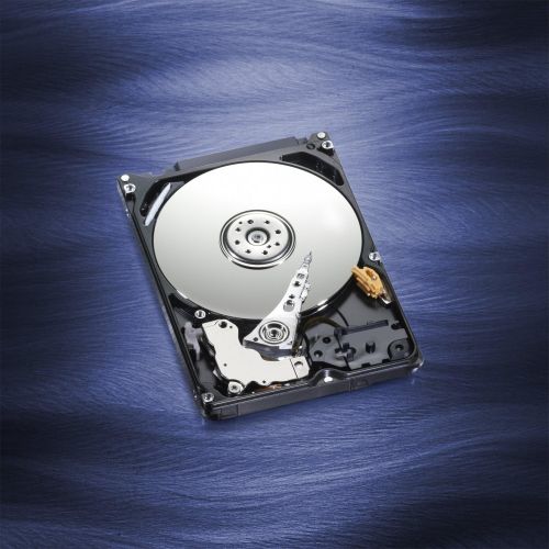  Western Digital WD Bare Drives 320GB WD Blue SATA III 5400 RPM 8 MB Cache Bulk/OEM Notebook Hard Drive WD3200LPVX