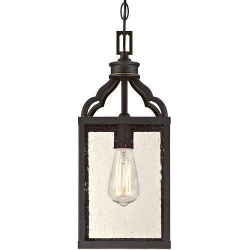  Westinghouse 6359300 Cardinal One-Light, Oil Rubbed Bronze Finish with Highlights and Clear Seeded Glass Outdoor Pendant, HI