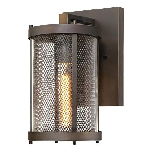  Westinghouse 6323400 Skyview One-Light LED Outdoor Wall Fixture, Oil Rubbed Bronze Finish with Mesh and Clear Glass