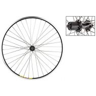 [아마존베스트]WheelMaster Wheel Master Weinmann 700C Rear Wheel, Quick Release, 36H, Black