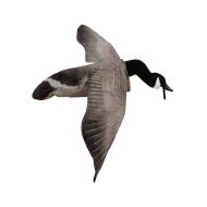 White Rock Decoys Deck Boss Flying Canada Goose Decoy