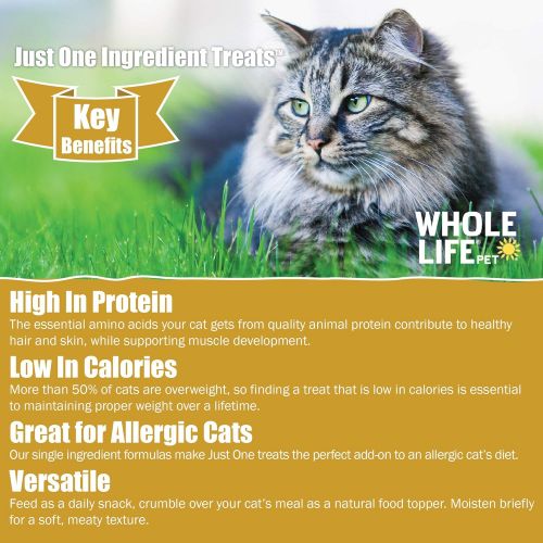  Whole Life Pet Products Whole Life Pet Pure Salmon Freeze-Dried Cat Treats