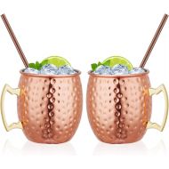 [아마존베스트]Widousy Moscow Mule Copper Mugs Set of 2 Handcrafted Copper Mugs 16 oz Gift Set with 2 Cocktail Copper Straws
