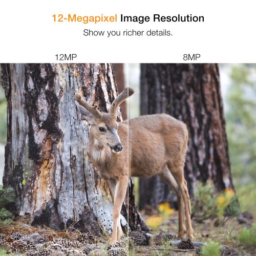  APEMAN Trail Camera 12MP 1080P 2.4 LCD Game&Hunting Camera with 940nm Upgrading IR LEDs Night Vision up to 65ft20m IP66 Spray Water Protected Design