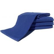 Kitchen Pantry Towels, Set of 4 (Bright Blue)