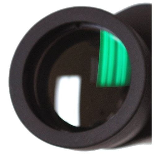 윌슨 Hammers Bird Watching Porro Prism Binocular 8x40 Multi-Coated Lens