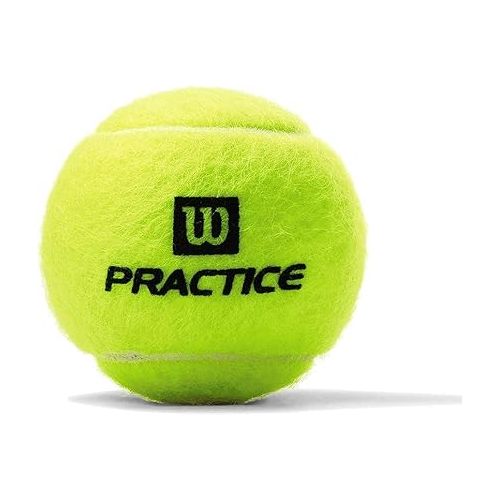 윌슨 Wilson Practice Extra Duty Tennis Ball Case