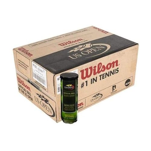 윌슨 WILSON US Open Extra Duty Tennis Balls (Case)