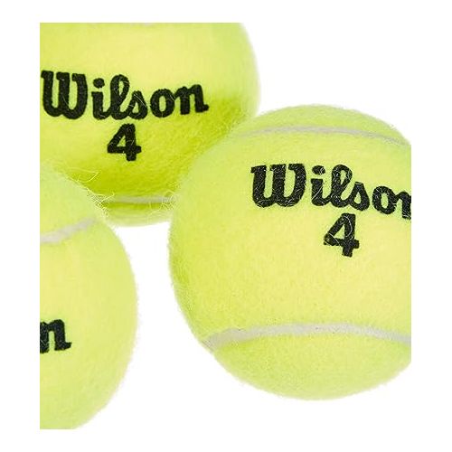 윌슨 WILSON Championship Tennis Balls