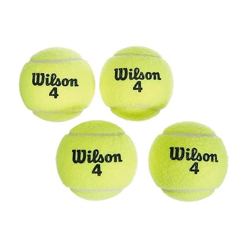 윌슨 WILSON Championship Tennis Balls