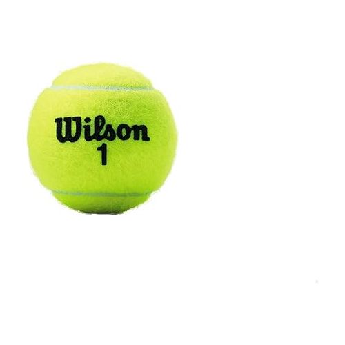 윌슨 WILSON Tennis Balls WRT100101 3-Pack Championship Hard Court Tennis Balls - Quantity 24