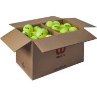 Wilson Tennis Balls Triniti, 72 Balls, Cardboard 100% Recyclable, Yellow, WR8201501