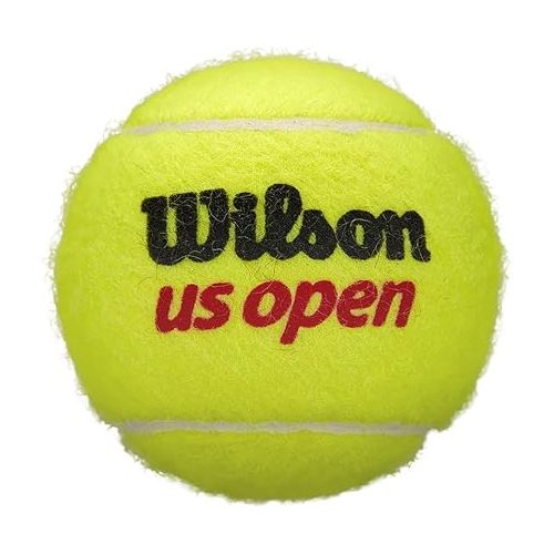 윌슨 WILSON US Open Tennis Balls