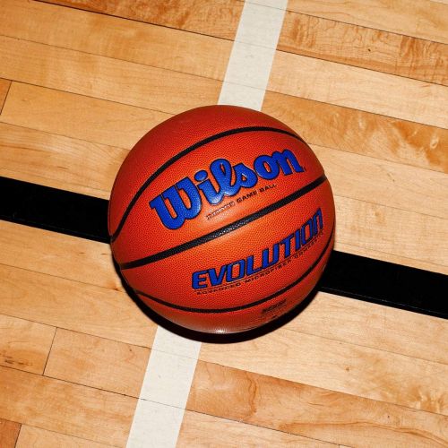 윌슨 Wilson Evolution Indoor Game Basketball