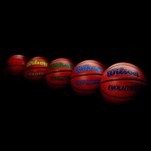 윌슨 Wilson Evolution Black Edition Basketball, Official Size (29.5)