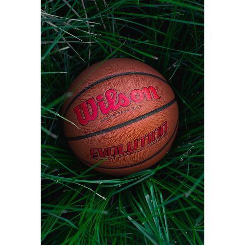윌슨 Wilson Evolution Black Edition Basketball, Official Size (29.5)