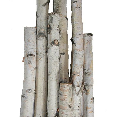 윌슨 Wilson Enterprises White Birch Pole Pack (X-Large) Set of Birch Poles 1.5-2.5 inch Diameter x 6, 7, and 8 feet Tall