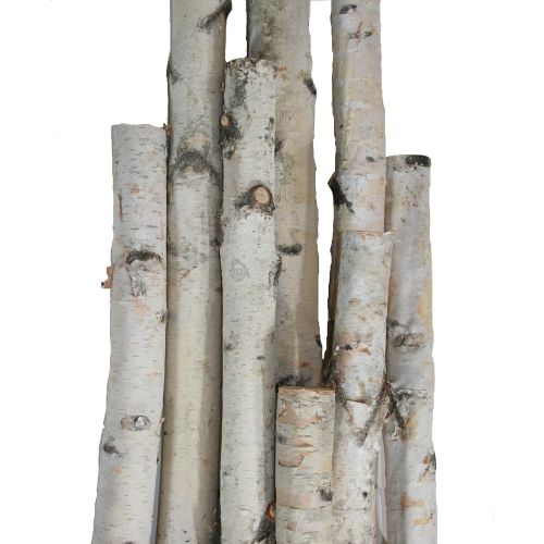 윌슨 Wilson Enterprises White Birch Pole Pack (X-Large) Set of Birch Poles 1.5-2.5 inch Diameter x 6, 7, and 8 feet Tall