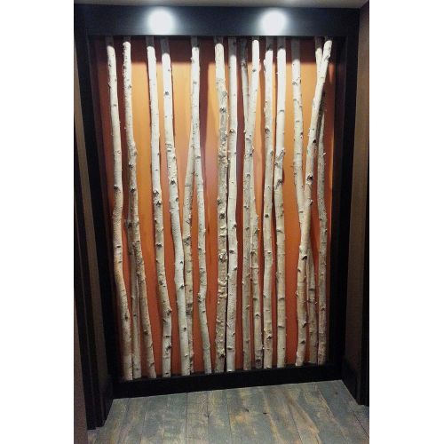 윌슨 Wilson Enterprises White Birch Pole Pack (X-Large) Set of Birch Poles 1.5-2.5 inch Diameter x 6, 7, and 8 feet Tall