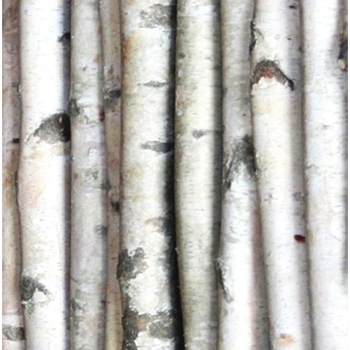 윌슨 Wilson Enterprises White Birch Poles, Natural, Kiln Dried, Home Decor Birch (Set of 4, 3 ft Long x 1.5-2.5 inch Diameter)