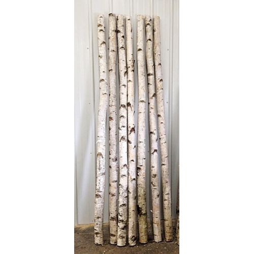 윌슨 Wilson Enterprises White Birch Poles, Natural, Kiln Dried, Home Decor Birch (Set of 4, 3 ft Long x 1.5-2.5 inch Diameter)