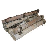 Wilson Enterprises Northern White Birch Logs, Set of 8