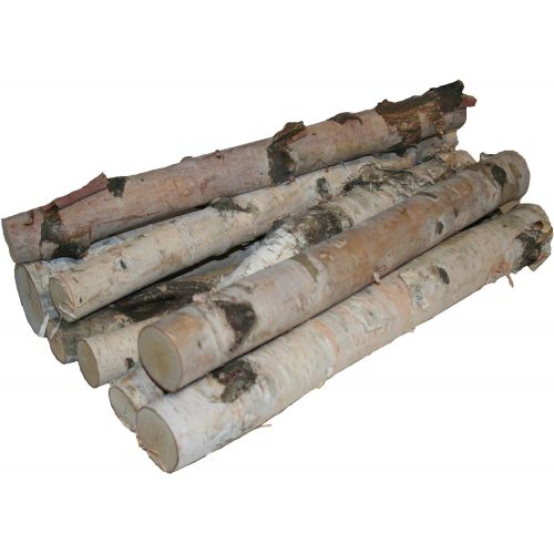 윌슨 Wilson Enterprises Northern White Birch Logs, Set of 8