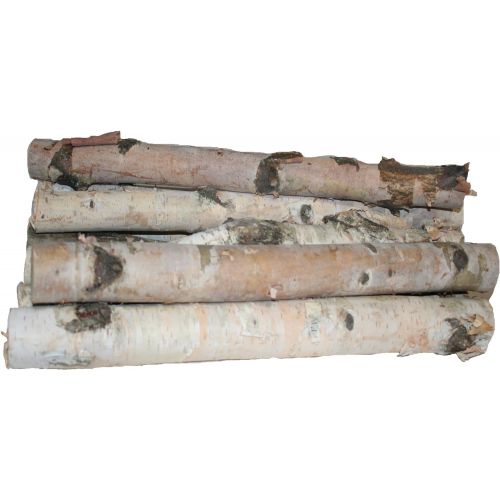 윌슨 Wilson Enterprises Northern White Birch Logs, Set of 8