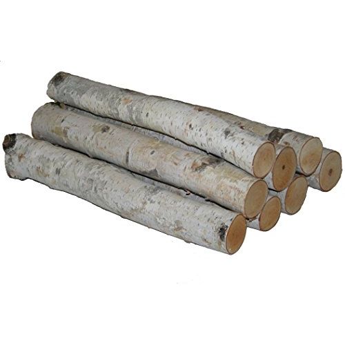 윌슨 Wilson Enterprises White Birch Log Bundle