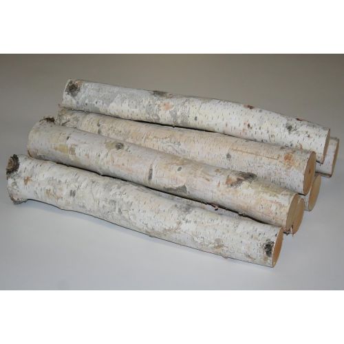 윌슨 Wilson Enterprises White Birch Log Bundle