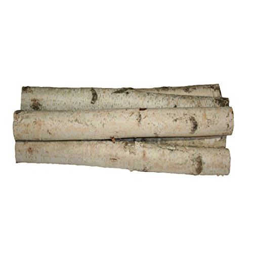 윌슨 Wilson Enterprises x Large White Birch Logs Set of Fireplace, 24 inch Long x 3-4 inch Diameter (Set of 5logs)