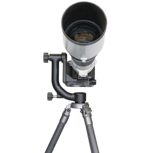  Wimberley WH-200 Gimbal Tripod Head II with Quick Release Base