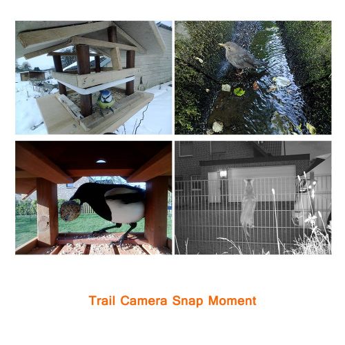  WingHome Trail Camera, 24MP 1080P Game Camera No Glow Infrared Night Camera for Wildlife Waterproof with Color LCD Display Motion Activated Camera for Wildlife Monitoring Photograp