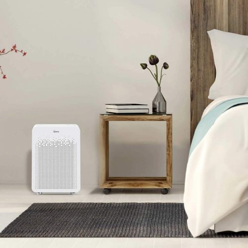  Winix C535 True HEPA Air Cleaner with PlasmaWave Technology