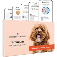 Wisdom Panel Premium Dog DNA Kit: Most Comprehensive with 265+ Health Tests, Identify 365+ Dog Breeds, 50+ Traits, Relatives, Ancestry, Genetic Diversity - 1 Pack