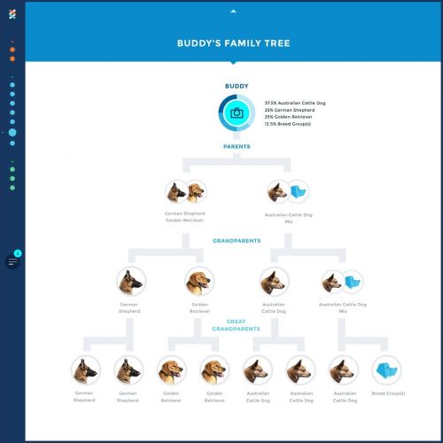  Wisdom Panel Insights Wisdom Panel Mixed Breed DNA Test Kit