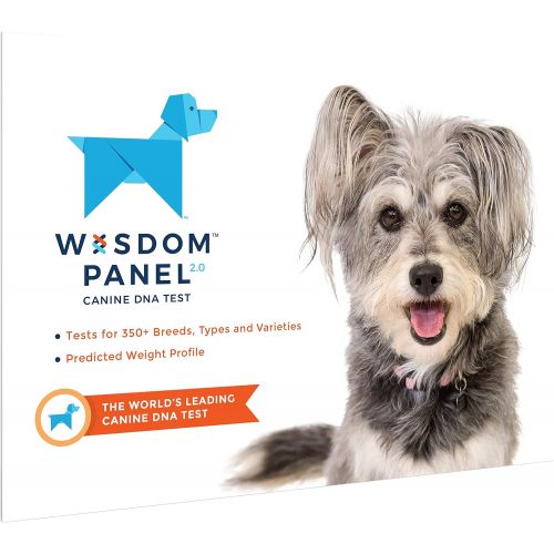  Wisdom Panel Insights Wisdom Panel Mixed Breed DNA Test Kit