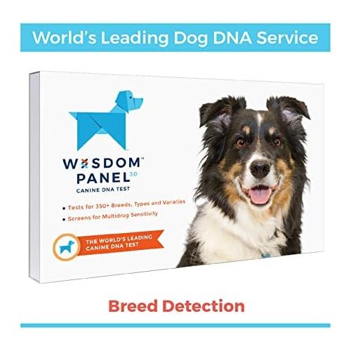  Wisdom Health Wisdom Panel 3.0 Breed Identification DNA Test Kit | Canine Genetic Ancestry Test Kit for Dogs