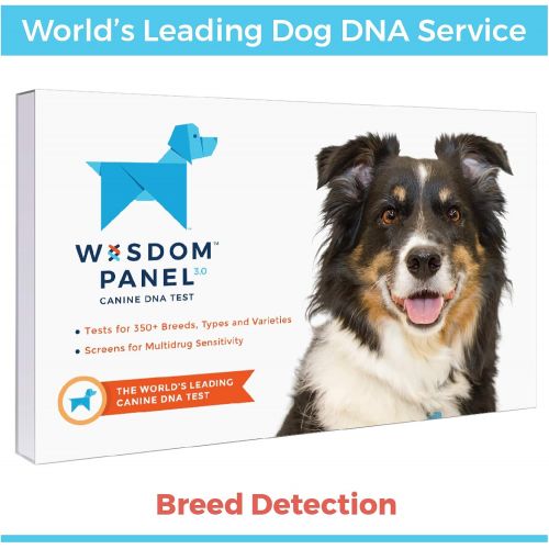  Wisdom Health Wisdom Panel 3.0 Breed Identification DNA Test Kit | Canine Genetic Ancestry Test Kit for Dogs