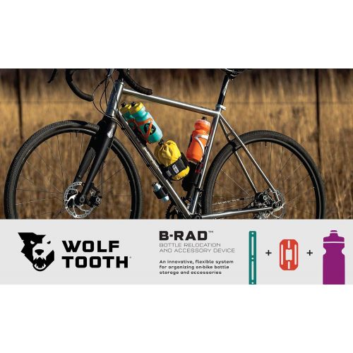  Wolf Tooth Components B-RAD Mounting Base