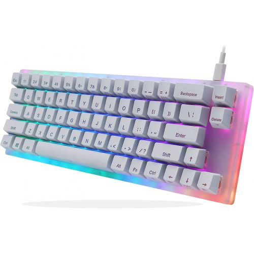  [아마존베스트]Womier K66 60% Keyboard, Hot Swappable Tyce-C Wired RGB Backlit Gateron Switch 60% Mechanical Keyboard with Crystalline Base for Win/Mac (Blue Switch,White)