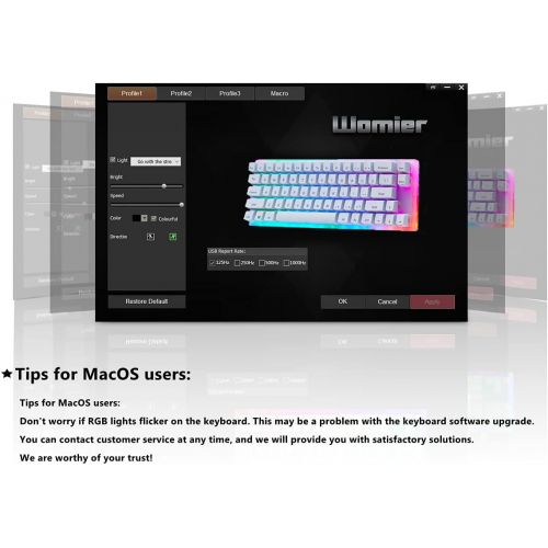  [아마존베스트]Womier K66 60% Keyboard, Hot Swappable Tyce-C Wired RGB Backlit Gateron Switch 60% Mechanical Keyboard with Crystalline Base for Win/Mac (Blue Switch,White)