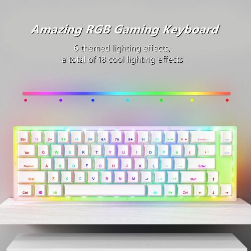  [아마존베스트]Womier K66 60% Keyboard, Hot Swappable Tyce-C Wired RGB Backlit Gateron Switch 60% Mechanical Keyboard with Crystalline Base for Win/Mac (Blue Switch,White)