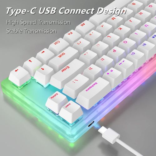  [아마존베스트]Womier K66 60% Keyboard, Hot Swappable Tyce-C Wired RGB Backlit Gateron Switch 60% Mechanical Keyboard with Crystalline Base for Win/Mac (Blue Switch,White)