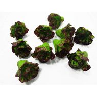 Wonder Miniature 10 Loose Red Coral Lettuce Salad Vegetable Dollhouse Miniature Food Supply 1:6 Compatible with Barbie 15748