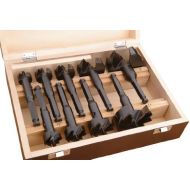 Woodstock D4100 1-Inch to 3-Inch Forstner Bit Set, 9-Piece