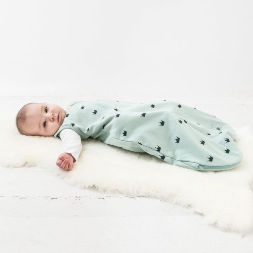  Woolino Baby Sleeping Bag, 4 Season Basic Merino Wool Wearable Blanket, 0-6 Months, Earth